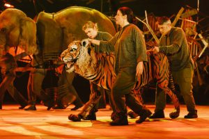 tiger-with-darcy-collins-corinna-powlesland-and-stephen-hoo_credit-dan-tsantilis-1024x681