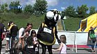 Stingers Day 2010