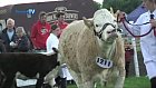 Bucks County Show 2012