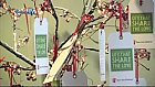 Xmas Tips from John Lewis – Giving Tree