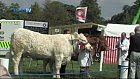 Bucks County Show Promo