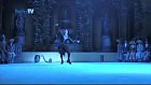 Swan Lake On Ice