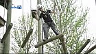 Aerial Extreme Milton Keynes