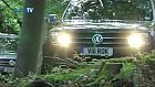 Amarok