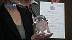 Witness Service – Queens Award