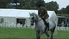 The 2010 Bucks County Show Is On It’s Way