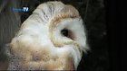 AV Biodiversity Birthday Project