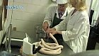 Sausages