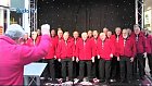 Knights of Harmony