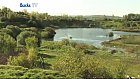 College Lake Nature Reserve