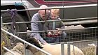 Kingsbury Farmyard Fun