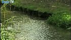 Meades Water Gardens Opening