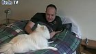 Hearing Dog for the Deaf – Training