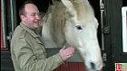 Home of Rest for Horses Westcroft Stables Speen