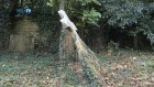 Hartwell Cemetery Clean Up
