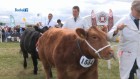 Bucks County Show 2014