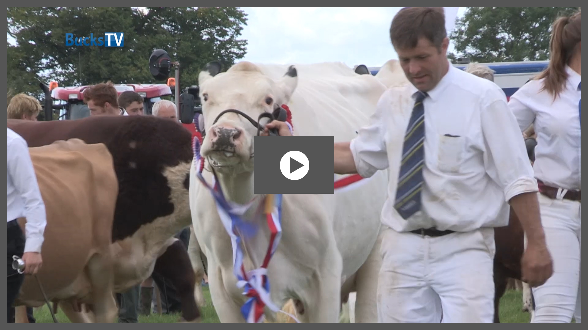 bucks county show