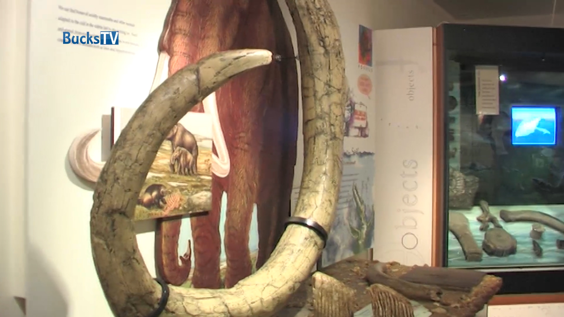 Buckinghamshire County Museum
